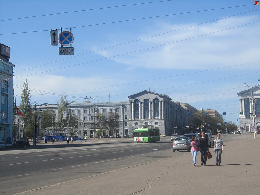 Городские власти снова хотят срубить ель для Нового года
