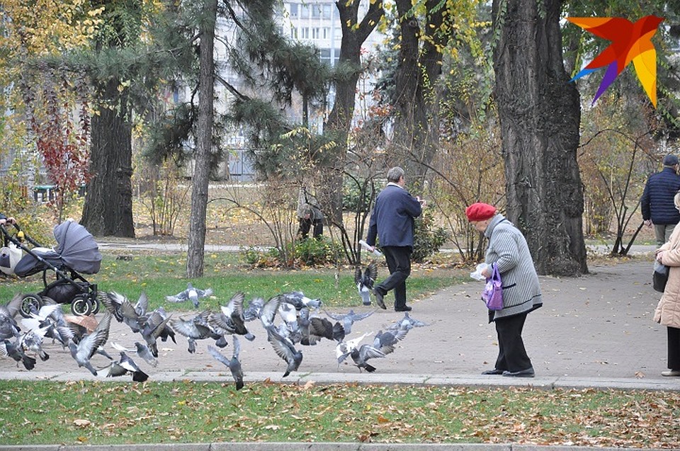 Отличное время для прогулок в парке!