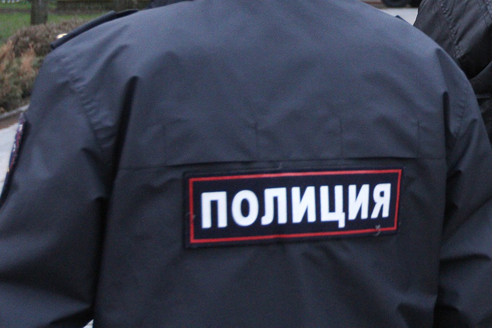 Фото: пресс-служба УМВД по Брянской области