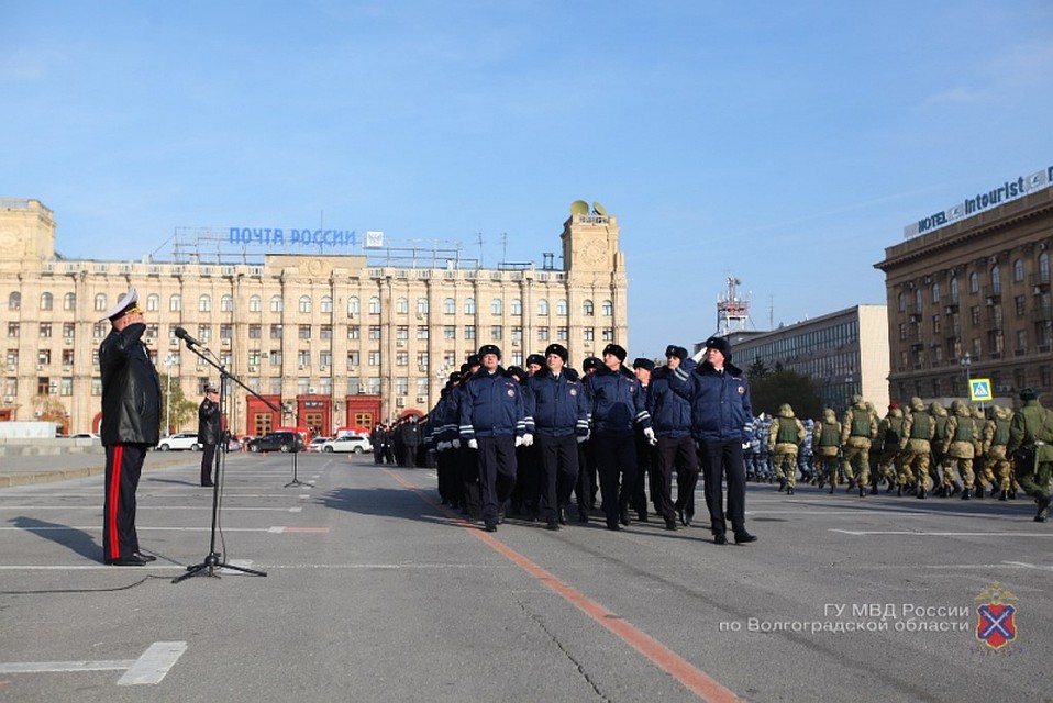 Торжественным строем чеканили шаг.