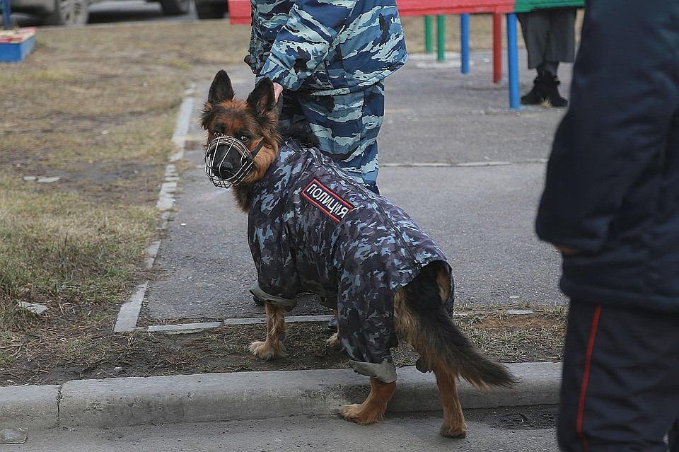 В Красноярском крае начальник колонии за 8 миллионов рублей собирался выпустить мошенника