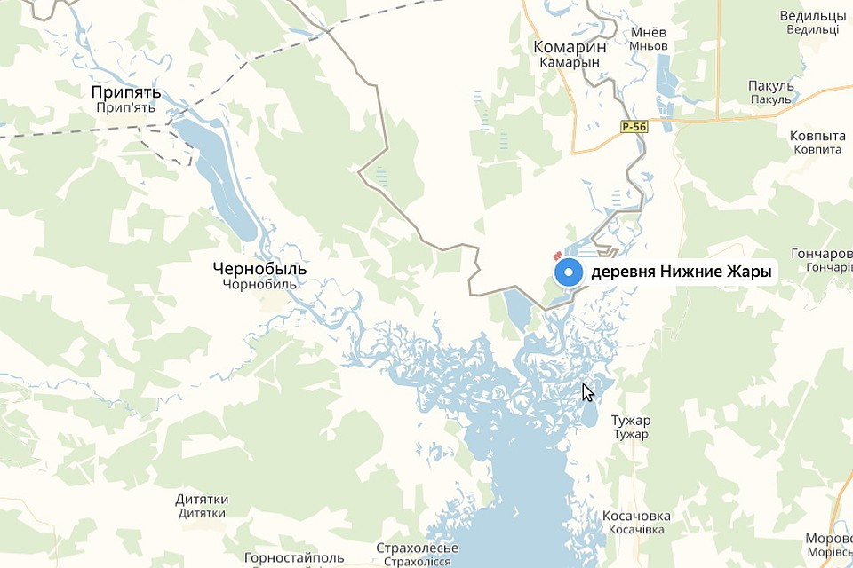 Деревеньку в Брагинском районе хотят превратить в международный порт