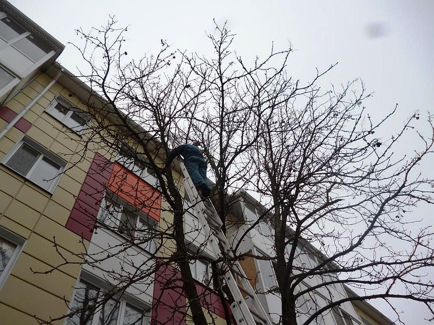Фото пресс-службы Главного управления МЧС России по Белгородской области