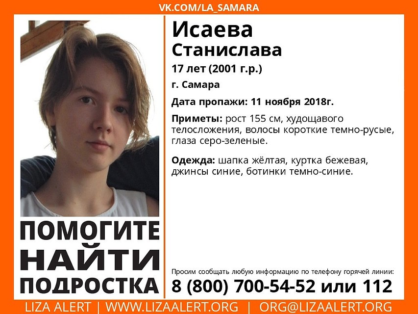 Фото: ДПСО "Лиза Алерт"