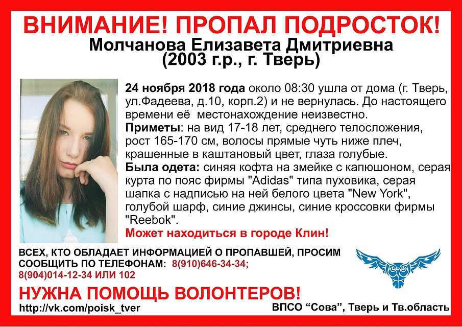Требуется помощь волонтеров Фото: ВПСО "Сова"