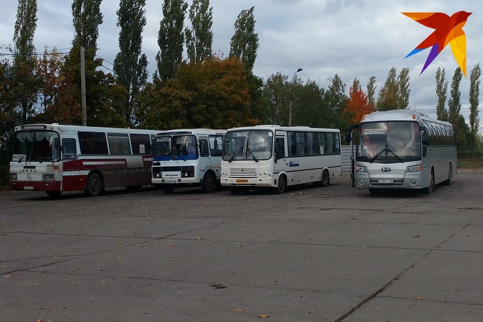 Автобусы будут ходить два раза в неделю.