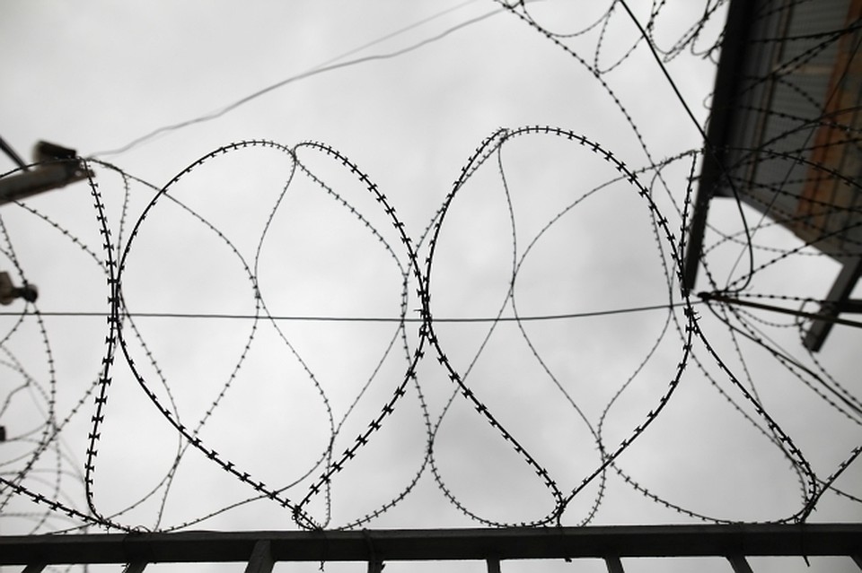 Условный срок хабаровских браконьеров превратился в тюремный
