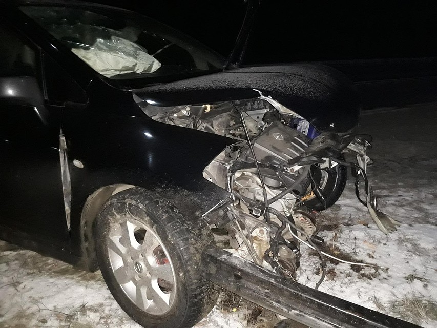 Иномарка влетела в отбойник на Грязинской трассе