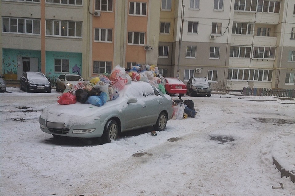 Фото Надежда Лунева