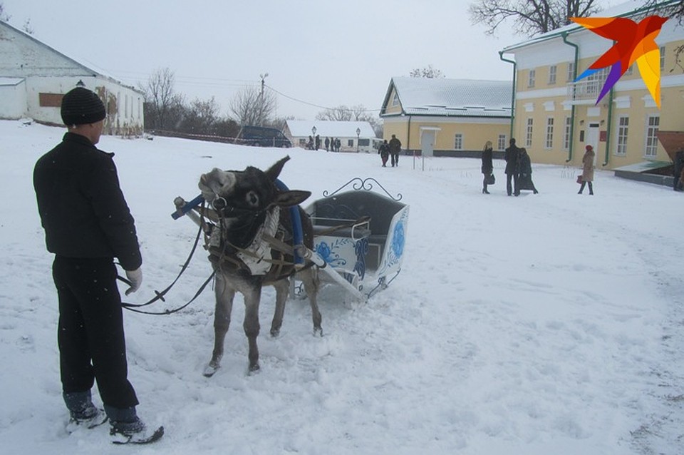 В усадьбе можно покататься на ослике