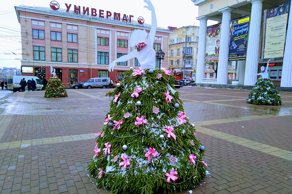 Фото: пресс-служба Брянской городской администрации.