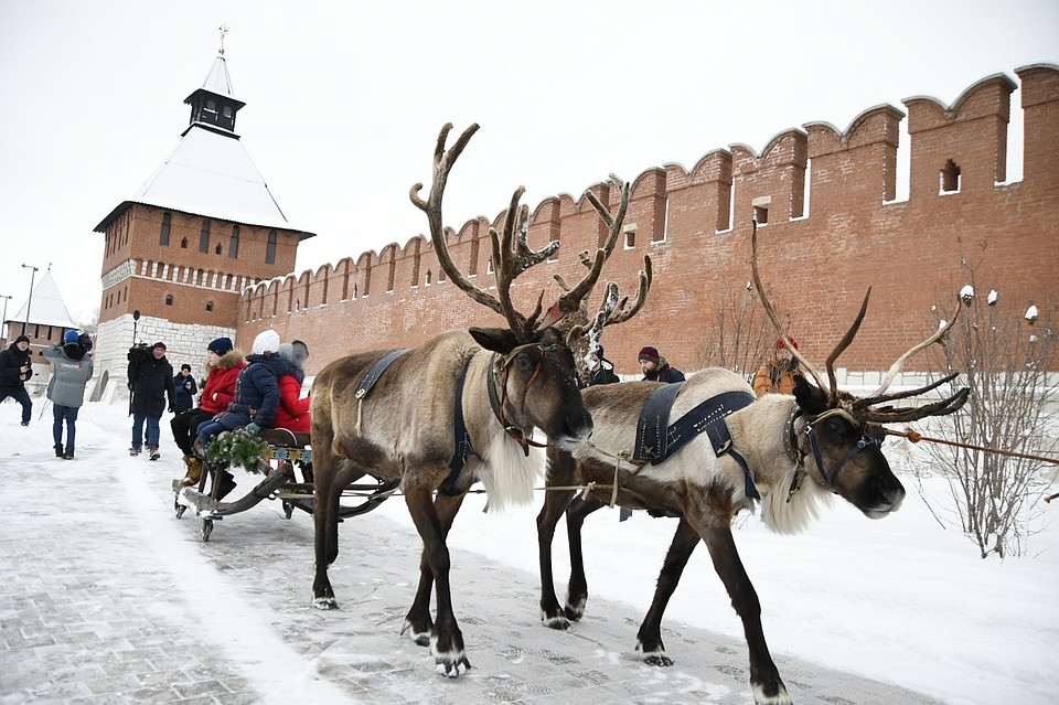 Фото: Алексей ФОКИН