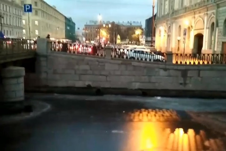 Из проруби в Крюковом канале вынырнул бобер Фото: стоп-кадр с видео из соцсетей