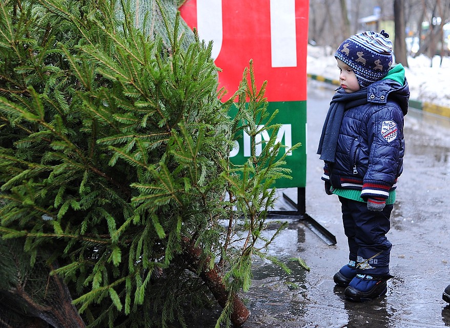 Температура воздуха в Москве вновь начинает опускаться