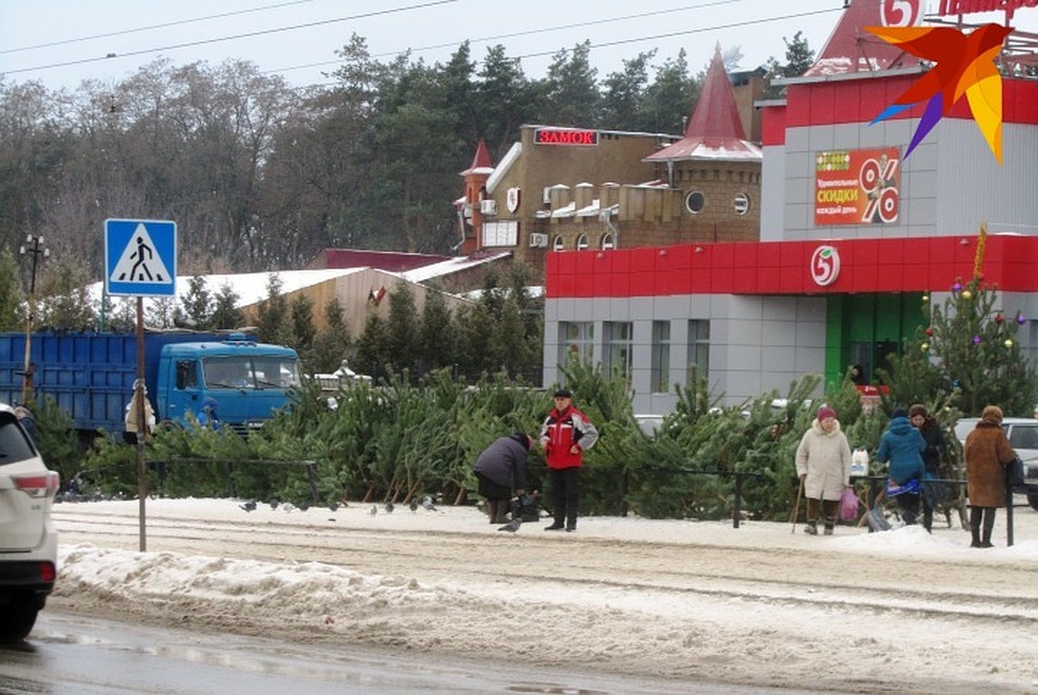 В Курске скоро откроются елочные базары