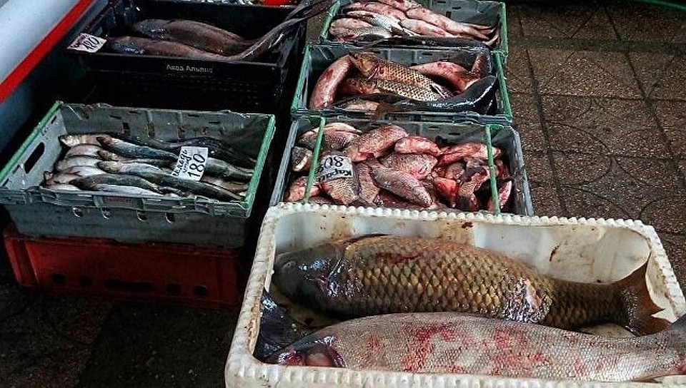Все 5,5 тонн рыбной продукции изъяли