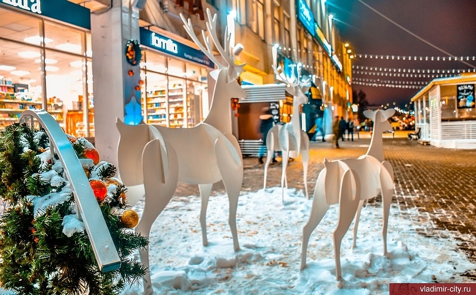 предоставлено администрацией города Владимира.