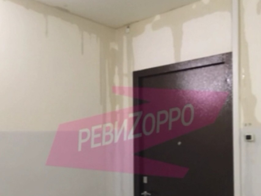 Фото: соцсети