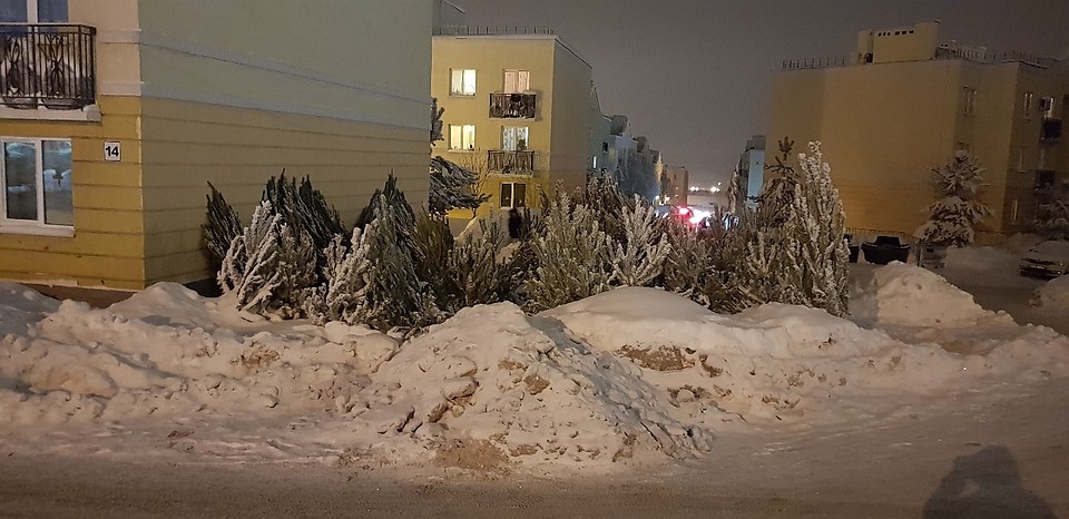 Николай Иванов