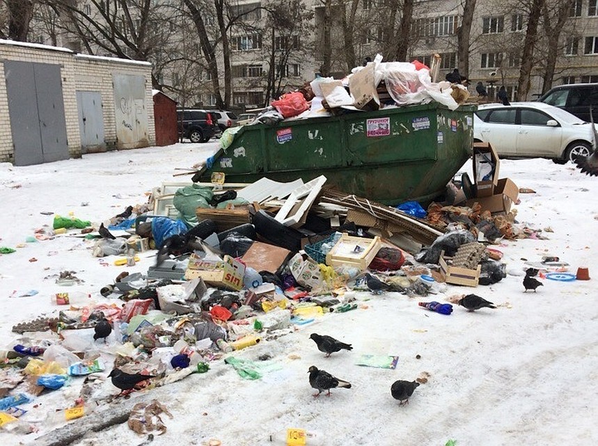 фото читателя