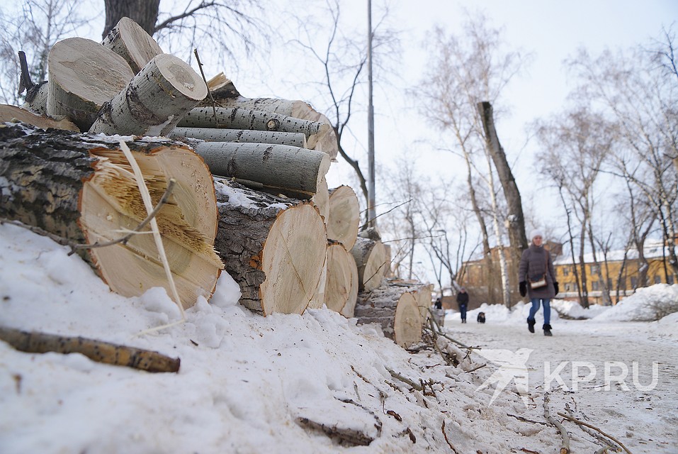 Зелени в Екатеринбурге стало меньше