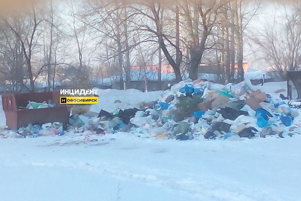 Мусора больше, чем контейнеров под него. Фото: "Инцидент.Новосибирск".