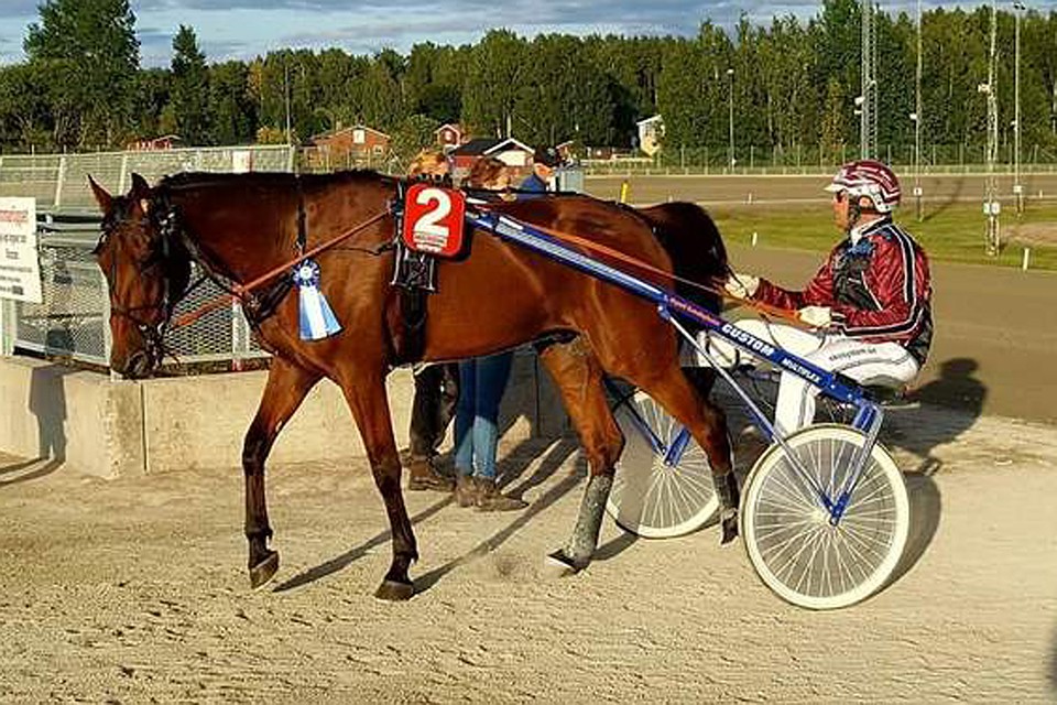50-летний Самуэль Рен был чемпионом в конном спорте