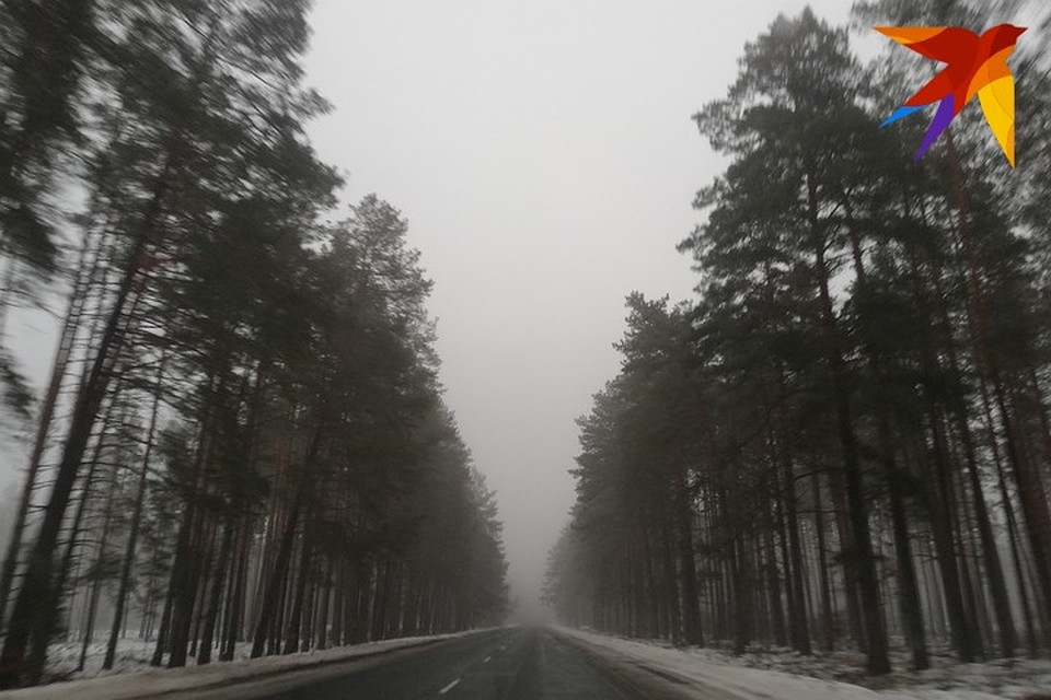 Трассу М6 планируют открыть меньше, чем через 4 месяца