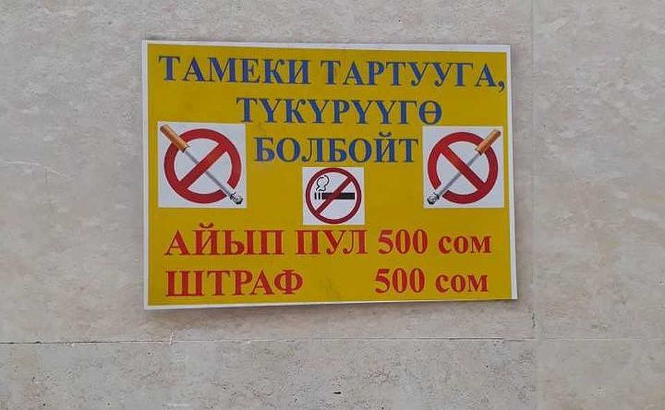 Статья о плевках после своего появления вызвала большой резонанс в обществе