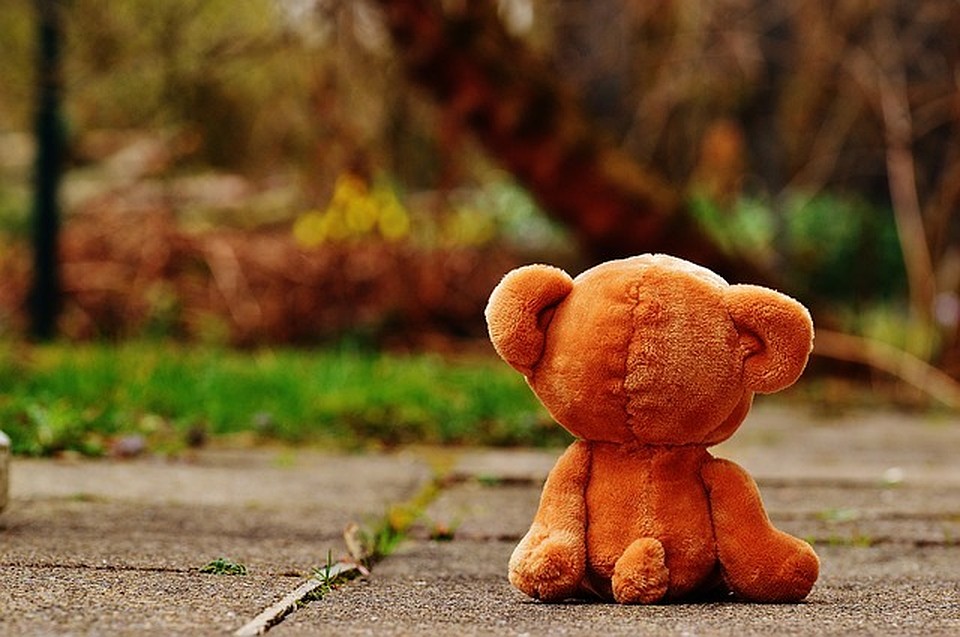 ФОТО: pixabay.com