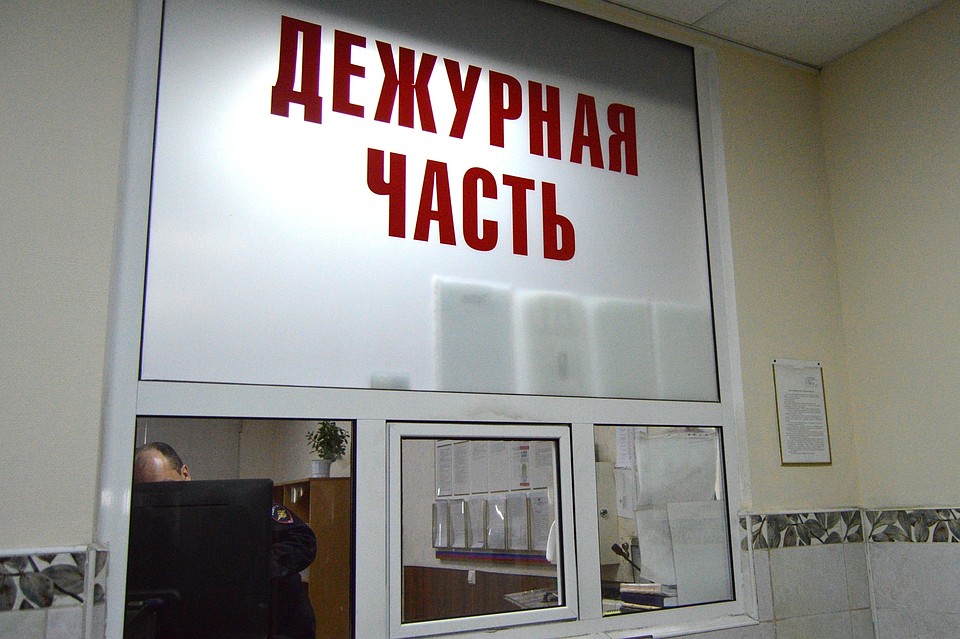 В области раскрыли кражу и угон