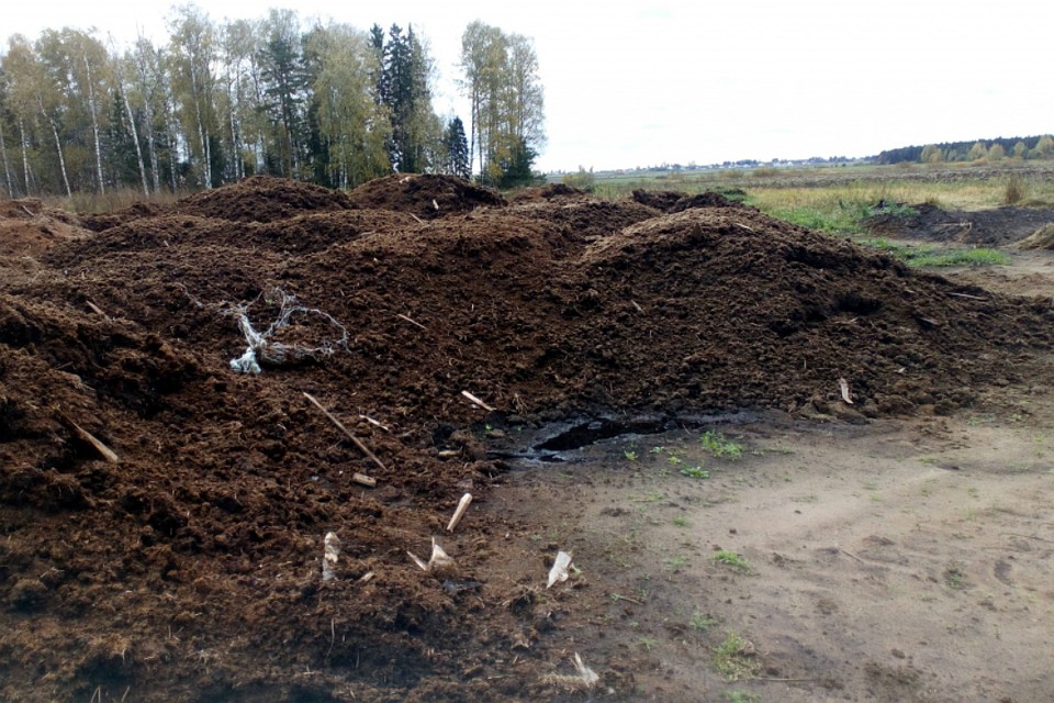 Компания не следила за пашнями и складировала навоз прямо на них. Фото: rshn43.ru