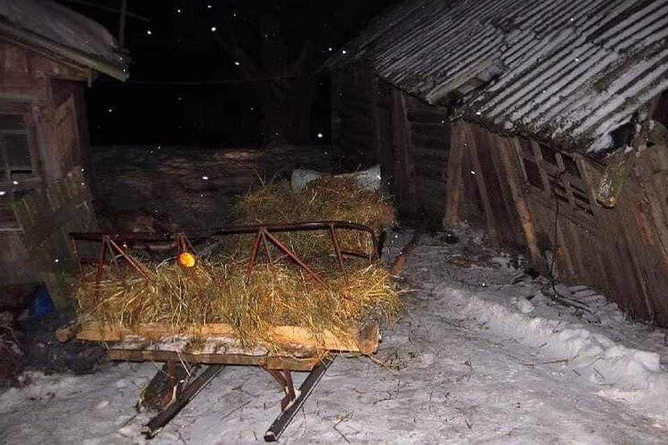 Мальчик погиб, упав с саней.