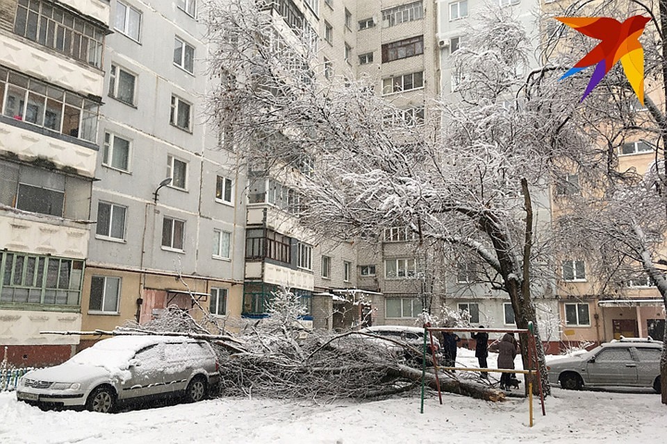 Фото: Ольга Умарова