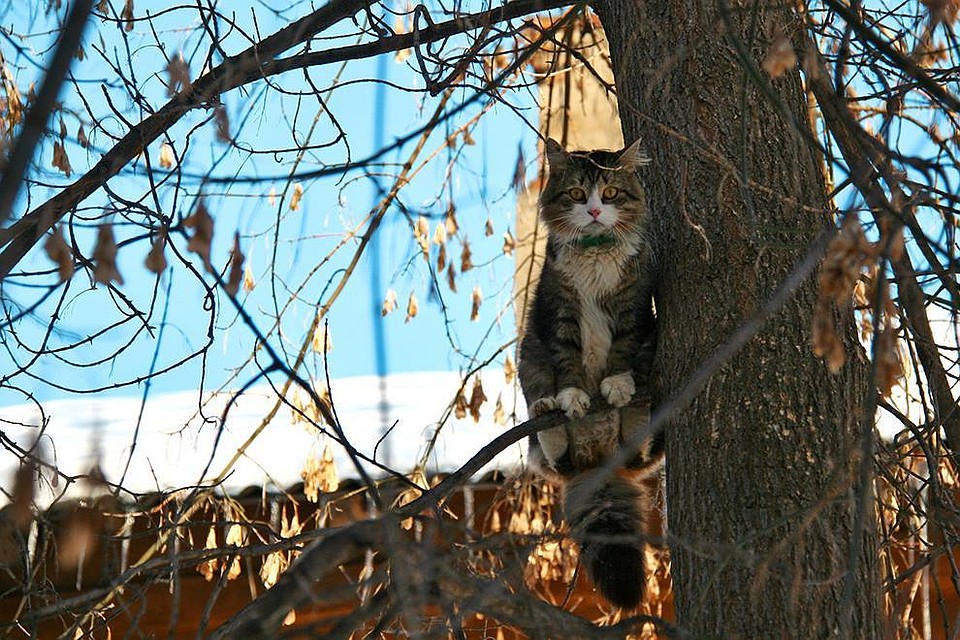 - Как это еще не март?!