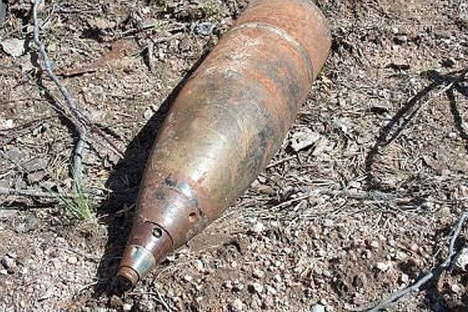 В Эстонии погиб распиливший снаряд мужчина.