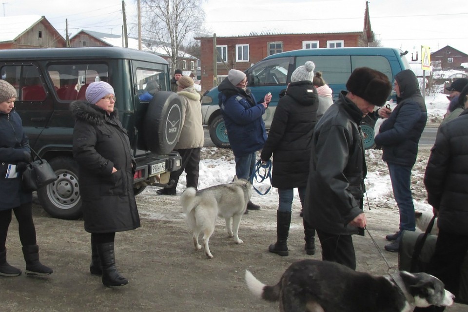 С марта по апрель в городе пройдет ежегодная вакцинация домашних животных. Фото: admkirov.ru