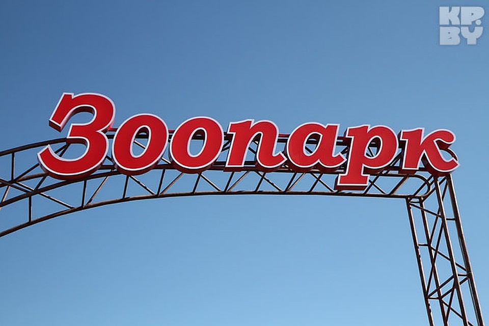Минский зоопарк проводит конкурс к 8 марта. Можно прислать фото своей жены, подруги, родственницы и написать, на какого питомца зоопарка она похожа и почему.