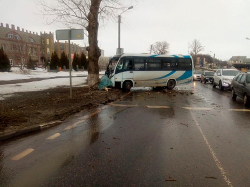 Под Белгородом водитель автобуса не справился с управлением и въехал в дерево. Фото пресс-службы УМВД России по Белгородской области.