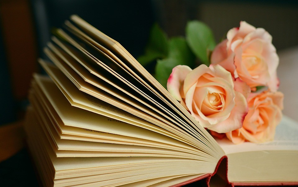 Юные тюменцы могут найти волшебную книгу в «Серебряном бору»