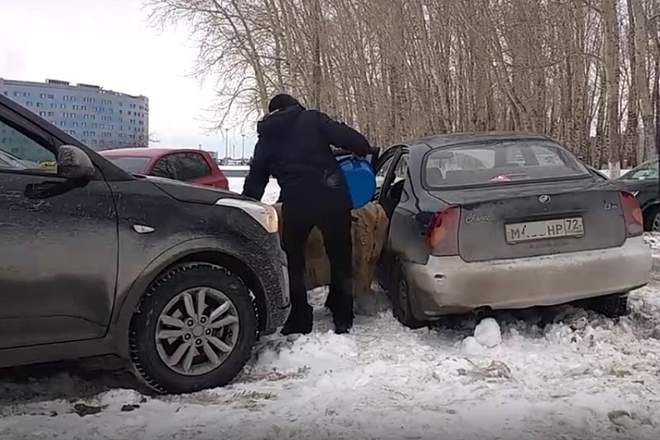 Тюменец в легковом автомобиле возит на работу живую лошадь. Фото Константина Заикина