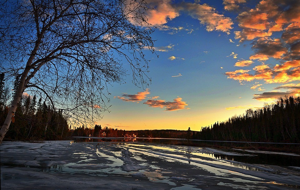 Фото: pixabay.com
