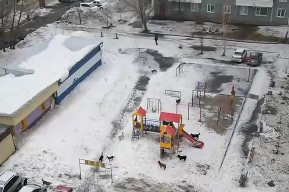 фото: из группы "Регион70" Вконтакте