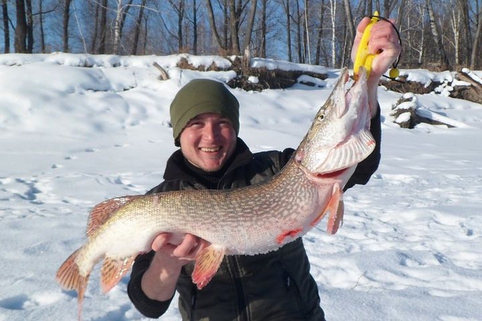 Сибиряк вытаскивал щуку из воды около получаса. Фото: www.fishingsib.ru