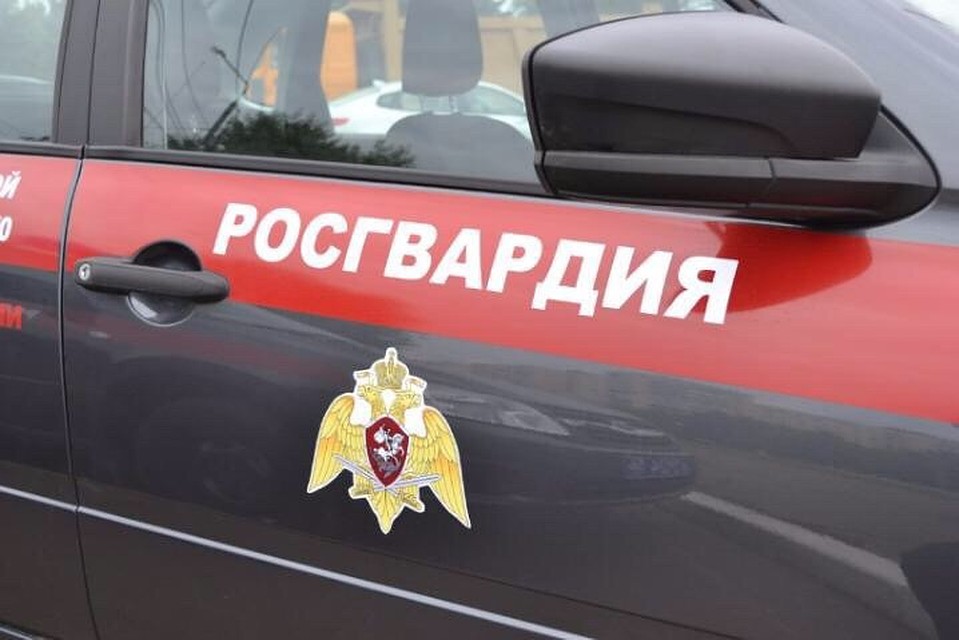 Сотрудники вневедомственной охраны Росгвардии быстро поймали великолучанина, избившего посетителя пивной. Фото: Пресс-служба управления Росгвардии по Псковской области.