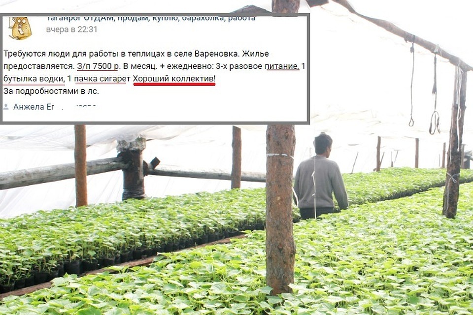 В этом объявлении прекрасно все - и не только бонусы к зарплате в виде спиртного и курева, но, главное, еще и обещание хорошего коллектива.