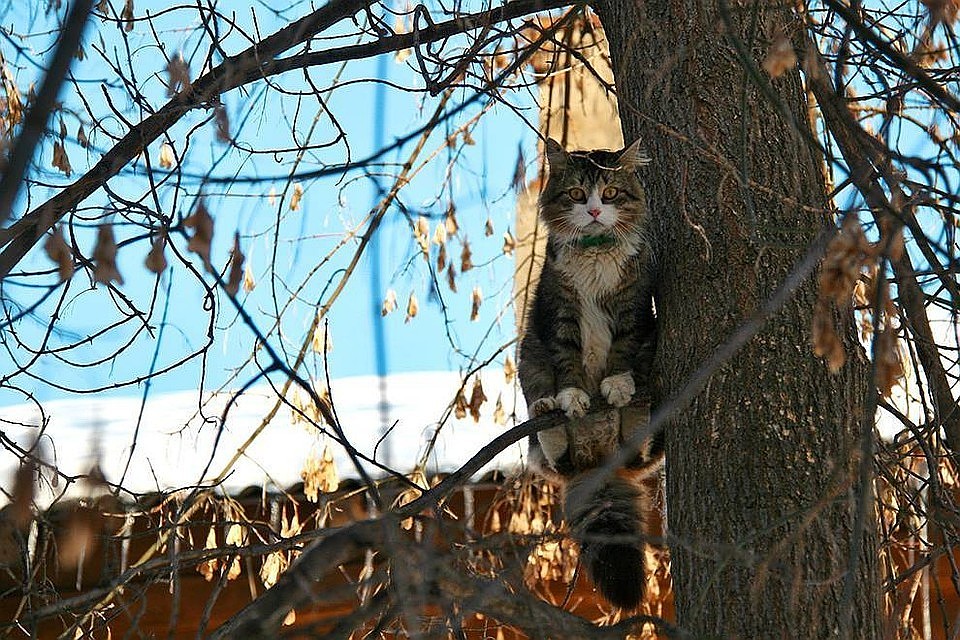 Ничего, настоящая весна с каждым днем становится все ближе...
