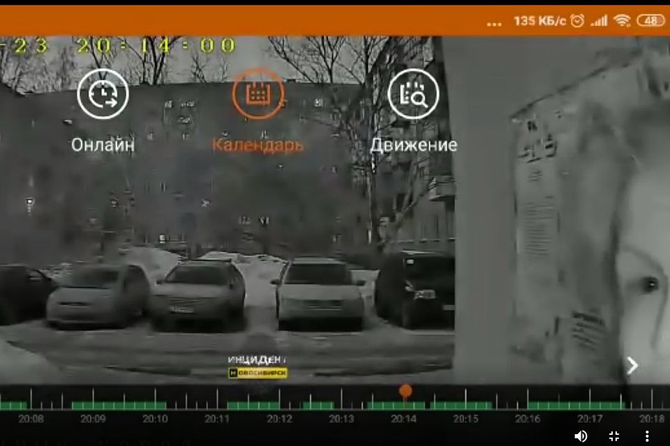 Женщина решила пойти на "дело", но что-то пошло не так. Стоп-кадр с видео "Инцидент.Новосибирск".