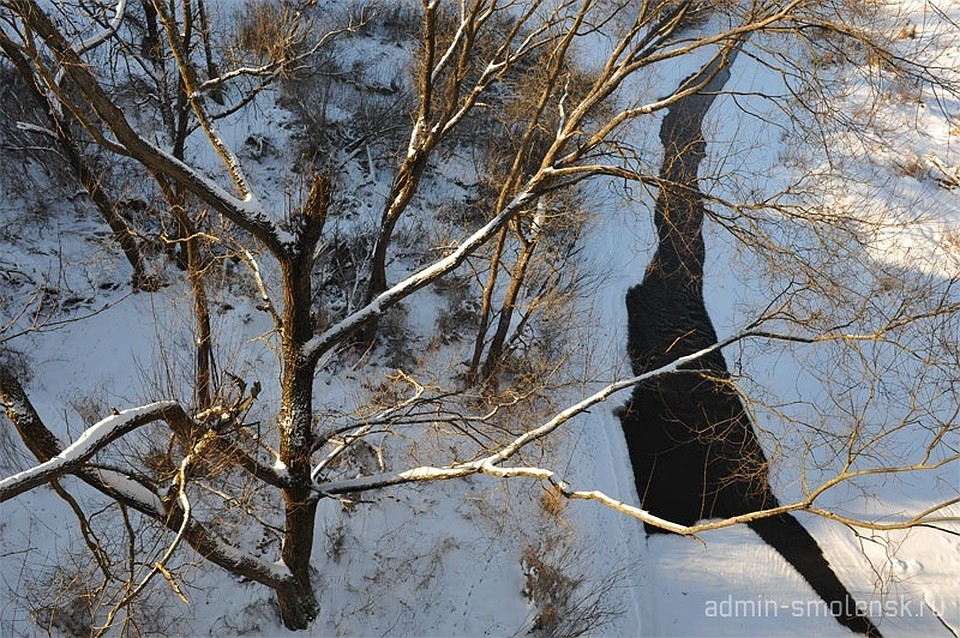 ФОТО: les.admin-smolensk.ru.