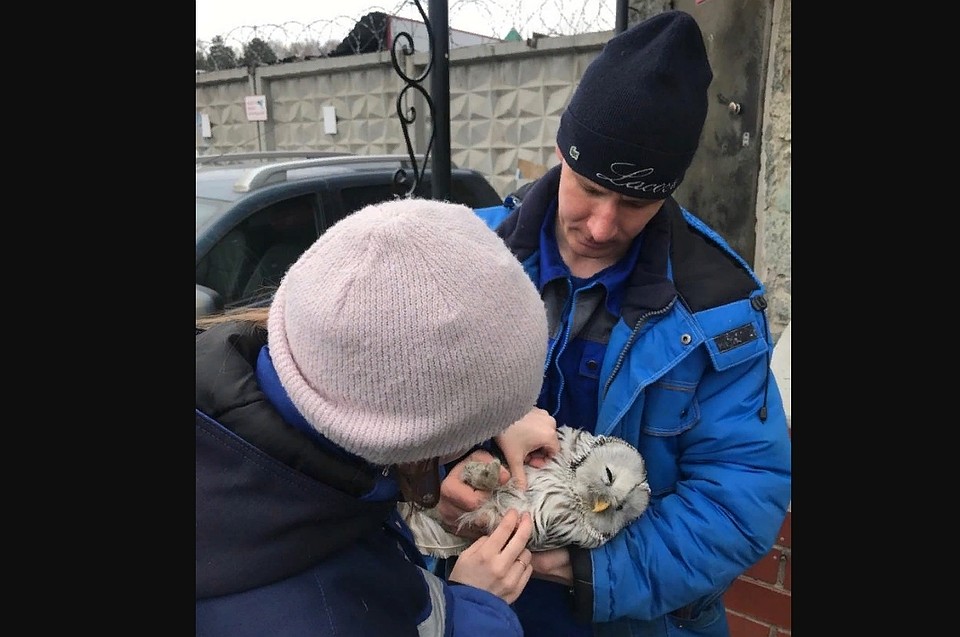 Фото: vk.com "Челябинский зоопарк"